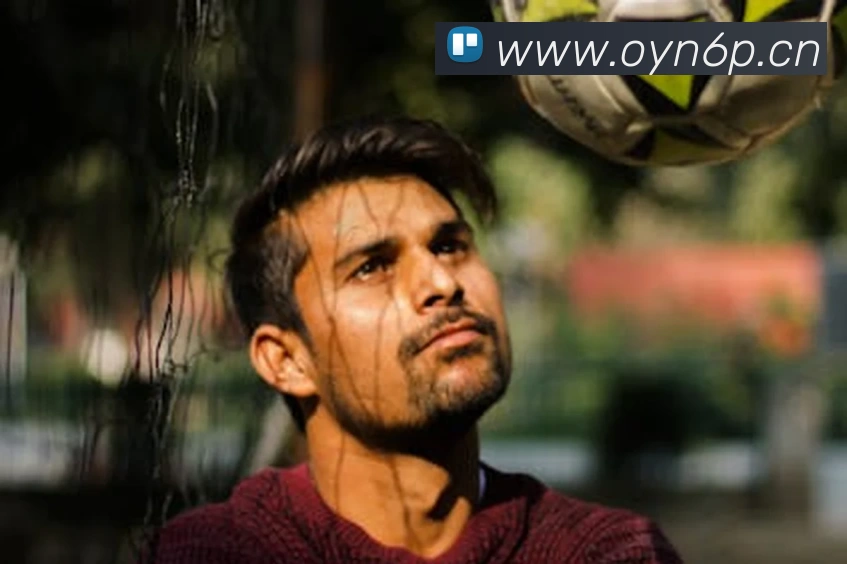 世界杯官网平台平台生态图